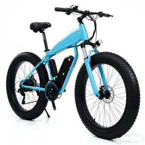 Electric Bicycle Vietnam
