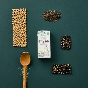 [InnoFood Korea] BariDream Pure Organic Soymilk Lactose Free Plant Based Protein Drink Halal Vegan Healthy Liquid