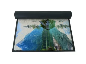 Machine Washable Durable Nitrile Rubber Backed Personalized Anti Slip Entrance Logo Printing Doormats for Office and Shopping Malls