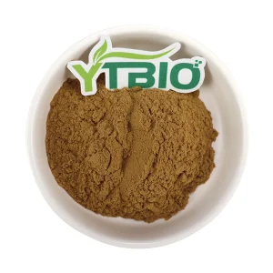 Dong Quai Extract Powder