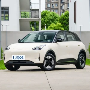 Coche Geely Star Wish 2024