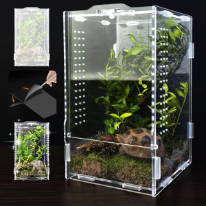 Acrylic Reptile Enclosure Terrarium