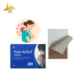 Chinese Herbal Ginger Extract Patch