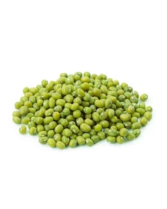 Green Mung Beans Bulk Supply