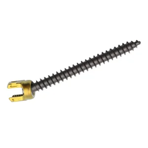 Non-Sterilized Sacral Reduction Screw