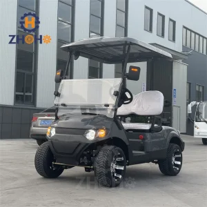 High Quality Two-Seater Electric Mini Golf Carts