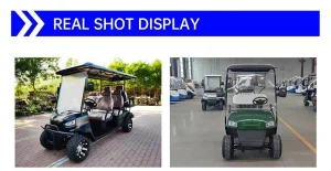 Cost-Effective Reliable Premium 6 Seater Electric Golf Cart