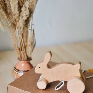 Natural Wooden Push Bunny Craft Toy