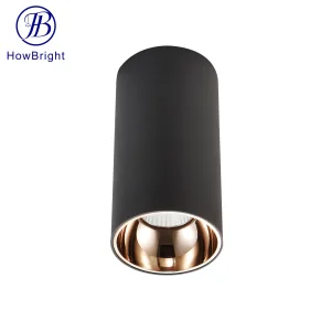 Aluminum 15W LED Spotlight Ceiling Light