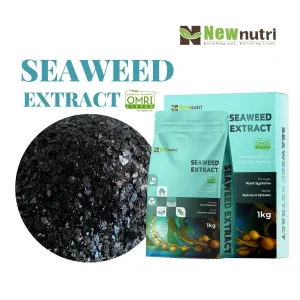 Seaweed Extract