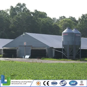 Light Material Eco-Friendly Prefabricated Building Steel Structure Chicken House Poultry Farm