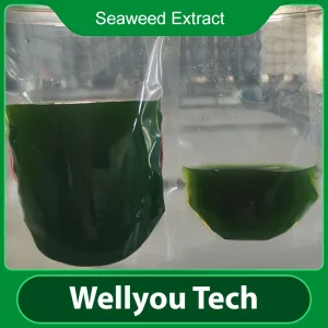 Organic Fertilizer Seaweed Extract Liquid, Foliar Fertilizer Wellyou Tech