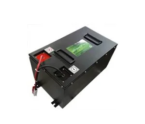 48V 60V 72V Lithium Ion