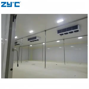 Portable Walk-in Freezer Cold Room Storage Container for Medicine