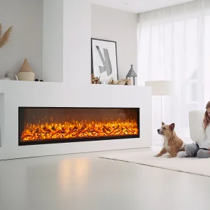 Electric Fireplace