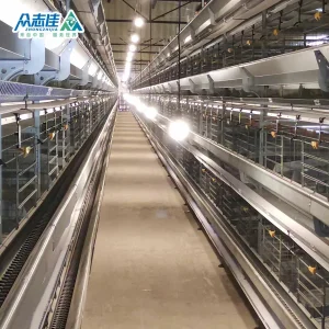 Automatic Layer Poultry Farming Equipment Battery Chicken Egg Cage System Galvanized Sale in Philippines