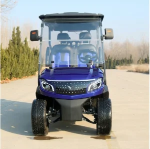 Luxury Electric Golf Buggy