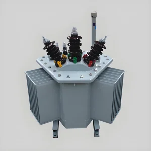 Oil-immersed Power Transformer