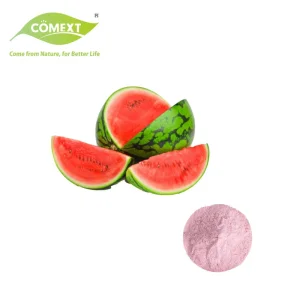 Coemxt 100% Extracto de fruta de sandía en polvo liofilizado de sandía