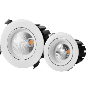 Adjustable LED Downlight