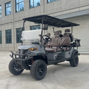 Luxury Electric Offroad Golf Cart
