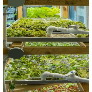 Smart LED Hydroponic Grow Tower