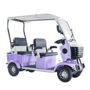 Industrial Park Cart