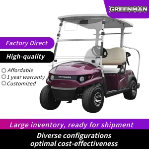 Non-Lifted Reception Car/Electric Golf Car/2 Seat Club Golf Buggy