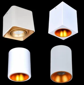 Surface Mounted Fixture Downlight