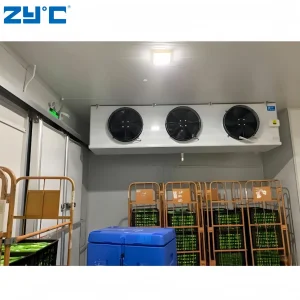 40 Feet Container Cold Storage 5 HP Condensing Unit Refrigerated Freezer Cold Storage Room