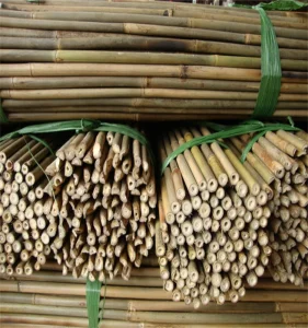 Tonkin Bamboo Stakes Garden Flower Plant Natural Tree Support