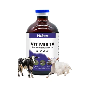 Amoxicillin Gentamicin