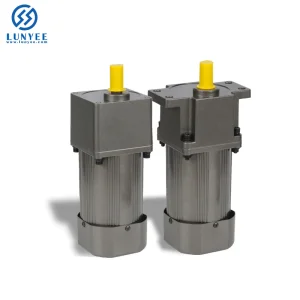 Micro Gear AC Motor