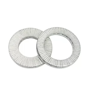 DIN25201 Stainless Steel Double Coil Lock Washer