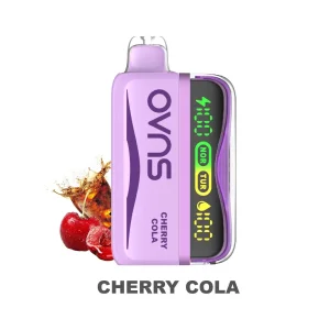 OEM ODM Replaceable Prefilled Pod Kit 30K Puff Vape