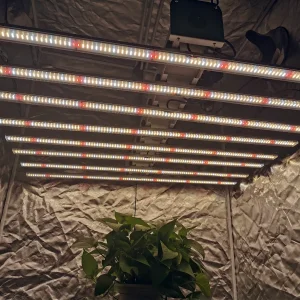 Toplighting Greenhouse