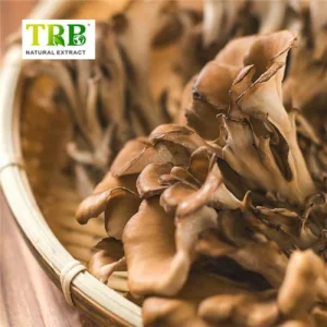 Wholesale Maitake Mushroom Extract Factory, Factories