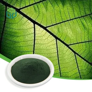 Natural Food Pigment Water Soluble 99% Sodium Copper Chlorophyll