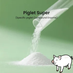 Price Piglet Compound Enzyme