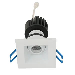 Adjustable Indoor Round Ceiling Lamp LED Downlight
