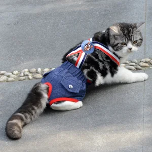 Ropa para mascotas al por mayor