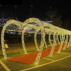 3D Love Heart Shaped Tunnel