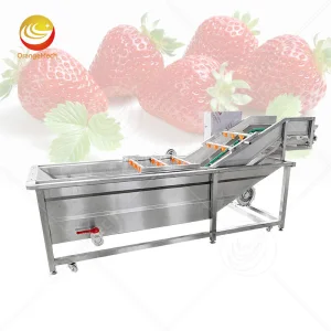 سعة الماء 500liter آلة تنظيف الغسيل بالفقاعات معدات الغسيل منظف الأوزون للفواكه والخضروات السعر