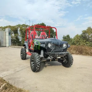 Hot Sale Four Wheeler 4WD 2 /4 Seats Buggy Car