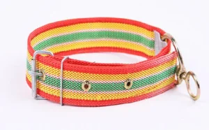 Pet Collar for Small Medium Large Dogs Adjustable Wholesale Supply