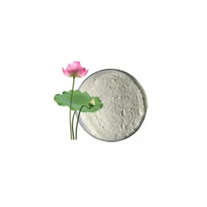 Herbal Extract Natural Lotus Leaf Extract Powder 98% Nuciferine (CAS 475-83-2)