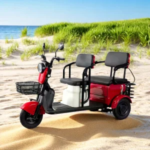 Electric Ticycle with Rear-Wheel Drive and 40-60km Performance Electric Bike Electronic Bicycle Electric Bicycle E-Bike