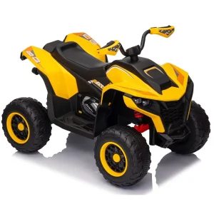 Veículo Elétrico de Alta Potência 24 Volt 4 Wheeler para Crianças