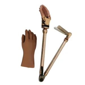 Upper Limb Prosthetic