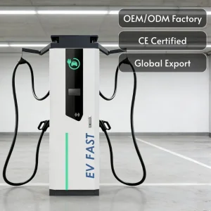Manufacturer IP55 CCS2 Gbt Ocpp1.6 120kw/160kw/180kw DC Fast EV Charging Station with CE TUV